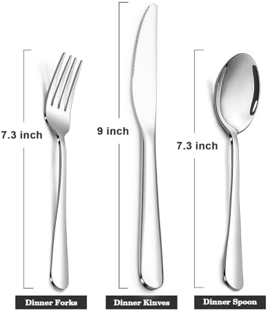 SANTUO Stainless Steel 12PCS Dinner Set combo with 4 Dinner Knives, 4