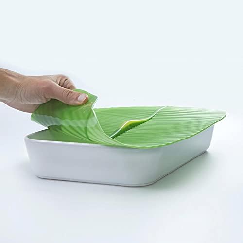 Charles Viancin Banana Leaf Lid, Square 10 Inch x 10 Inch