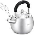 Stainless Steel Whistling Tea Kettle, 6.3QT