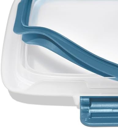 OXO Good Grips Prep & Go 2 Cup Divided Food Storage Container - Ocean