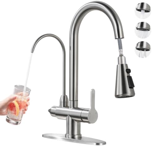 Brushed Nickel Kitchen Faucet with Water Filter