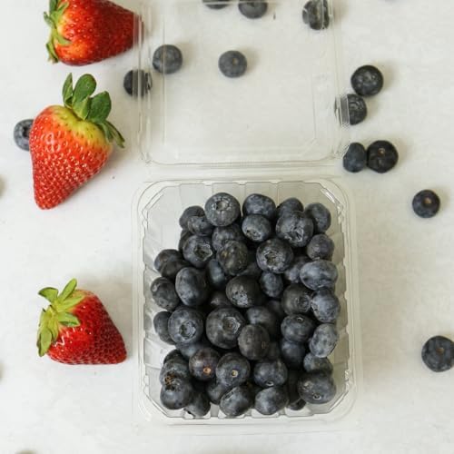 Plastic Berry Containers - 35 Pack