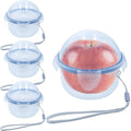 4 Pack Onion Storage Containers for Fridge
