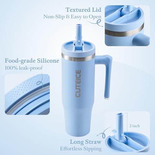 Blue Tumbler with Straw and Handle Coffee Travel Mug with Lid