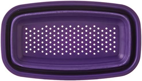Progressive Collapsible Berry Colander (Pack of 1) (Assorted)