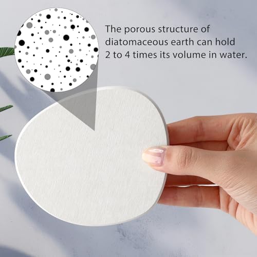 Diatomaceous Earth Coaster,Set of 6,Unique White Absorbent Coasters