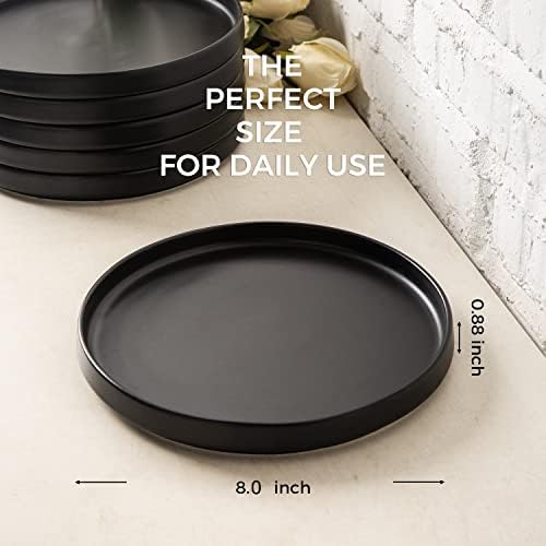AmorArc Ceramic Plates Set of 6, Matte Glaze 8.0 Inch Dishes Set for