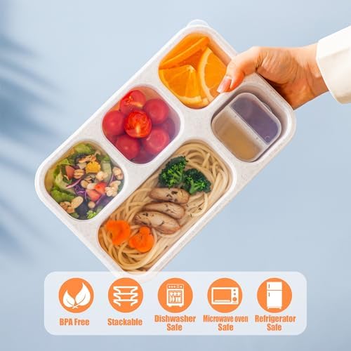 TOUWMX 4 Pack Bento Box, 5 Compartments