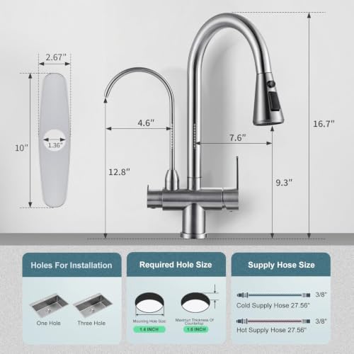 Brushed Nickel Kitchen Faucet with Water Filter