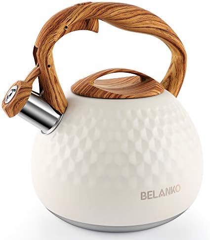 BELANKO 2.7 Quart Stainless Steel Tea Kettle, Milk White