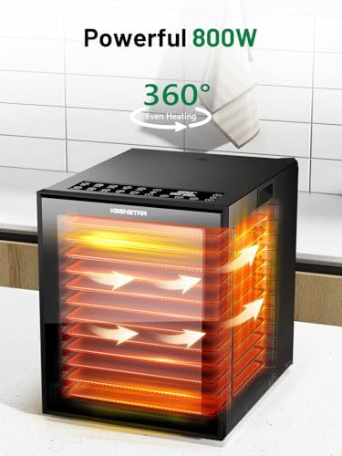 Food Dehydrator, 12 Stainless Steel Trays, 850W