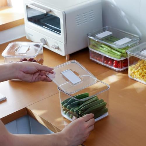 Luxshiny Refrigerator Storage Box Fruit Vegetable Container 1pc Bottom