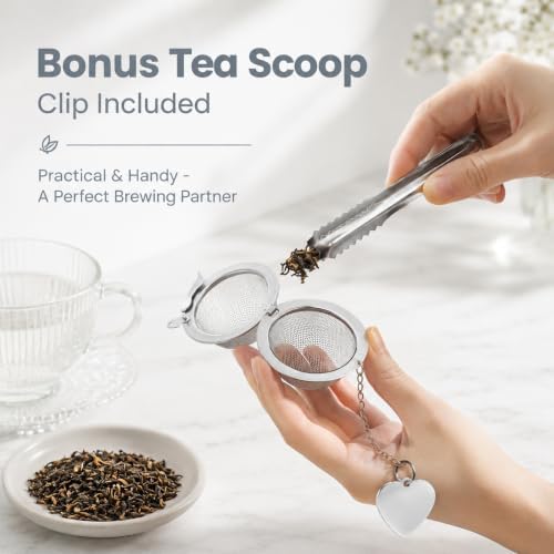 2Pcs Tea Ball for Loose Leaf Tea with Spoon, Fine Mesh Loose Leaf
