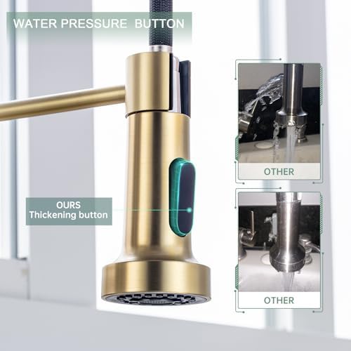 WEWE High-Arc Pull-Down Kitchen Faucet, Gold