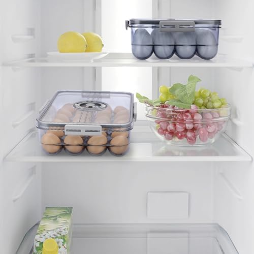 BTSKY Plastic Egg Holder for Fridge, 24 Eggs