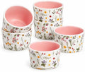ONEMORE 6 oz Ramekins Oven Safe, Floral Ceramic Ramekin Set of 6 Pink