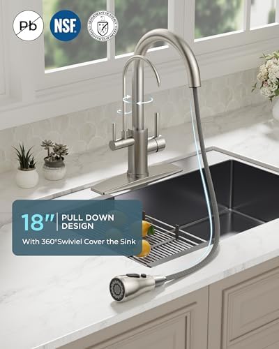 FORIOUS Kitchen Faucet with Purified Water, 2 Handle, Brushed Nickel