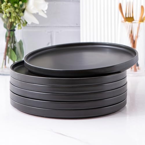 AmorArc Stoneware Dinner Salad Plates Set of 6, 8.5 Inch Ceramic