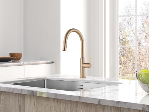 AguaStella AS31CPB Kitchen Sink Faucet, Champagne Bronze