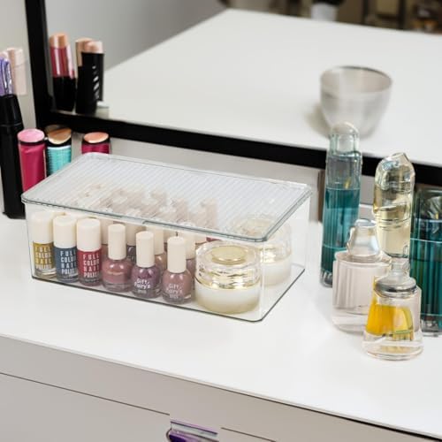 ZEXALOR Clear Plastic Storage Bin with Lid