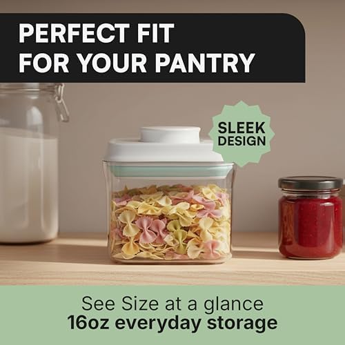 Bop Top Airtight Food Storage Containers | Pop-Top Lid | 2 Cups