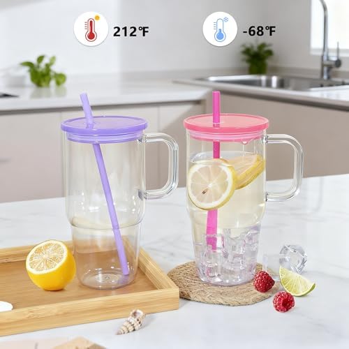 20oz Plastic Tumbler with Handle, 2Pack Clear Tumblers with Lid and