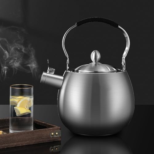 4.2 Quart Tea Kettle, 316 Stainless Steel