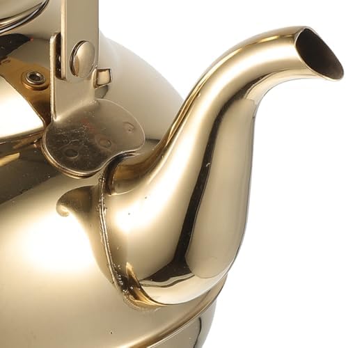 Stainless Steel Stovetop Teapot with Infuser, 1 pack