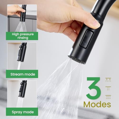 Matte Black 8-Inch 2-Handle Kitchen Faucet