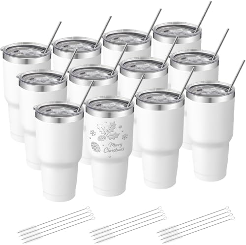 YOUKE OLA 12 Pack Insulated Tumbler Powder Coated Stainless Steel