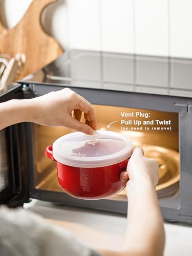 LE TAUCI 28 oz Soup Bowls with Handles and Silicone Lids, Set of 2 and