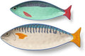 Something Fishy Porcelain 3-D FISH PLATTER 2 Pc. SET-sculpted coastal