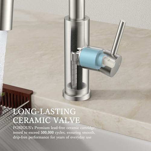 FORIOUS Kitchen Faucet with Pull Down Sprayer