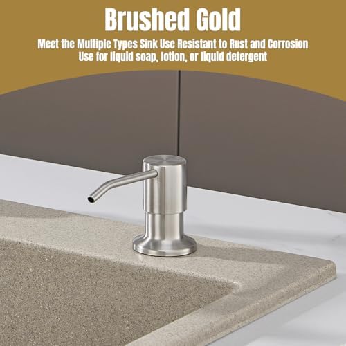 Built in Soap Dispenser for Kitchen Sink Countertop
