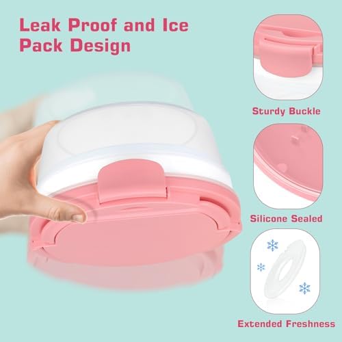 Salad Container for Lunch, Bento Lunch Box 58-oz with 4 Compartments