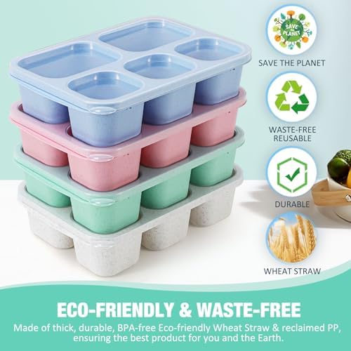 Caperci Wheat Straw Bento Snack Box Containers for Adults & Kids