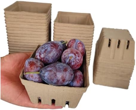 Natural Molded Pulp Fiber Berry Basket, Small Vented Farmer Market
