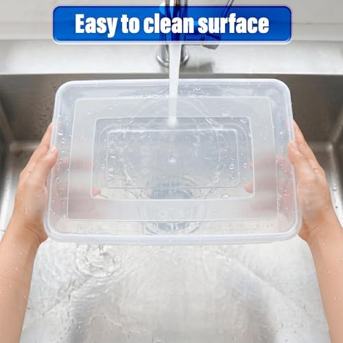 4PCS Dumpling Storage Containers with Lids, Transparent