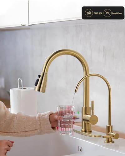 WOWOW Kitchen Faucet and Water Filter Faucet Combo, Brushed Gold