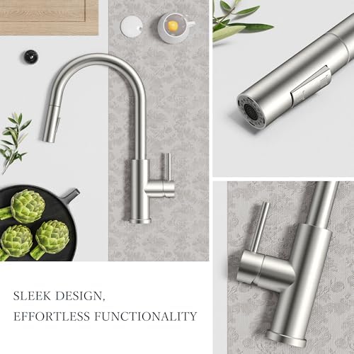 FORIOUS Kitchen Faucet with Pull Down Sprayer