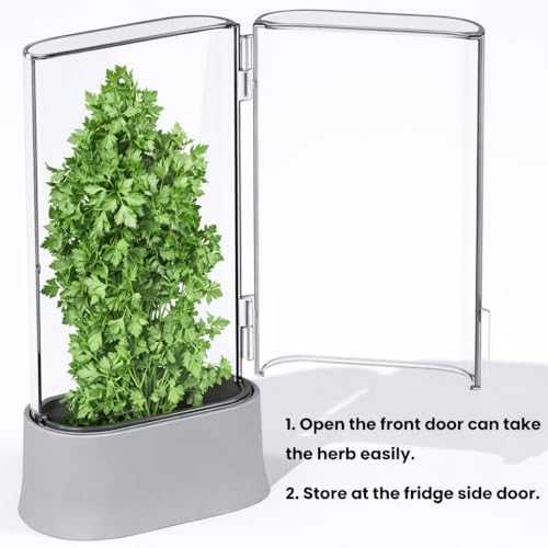 vacane Fresh Herb Keeper for Refrigerator