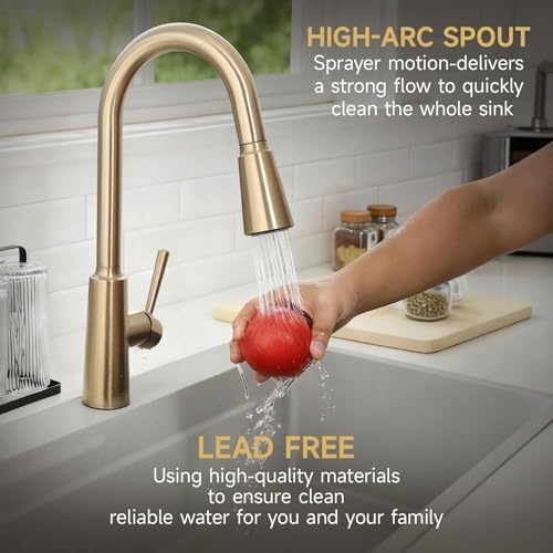 Lava Odoro Pull Down Kitchen Faucet KF241-CB