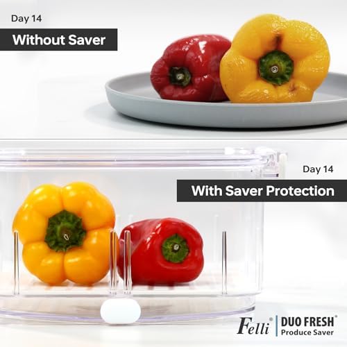 Felli Duo Fresh Produce Saver Container with Vent and Drainage