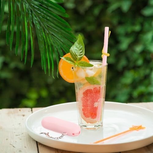 Luxshiny Travel Straw Kit Silicone Material 1 X Silicone Straw Case