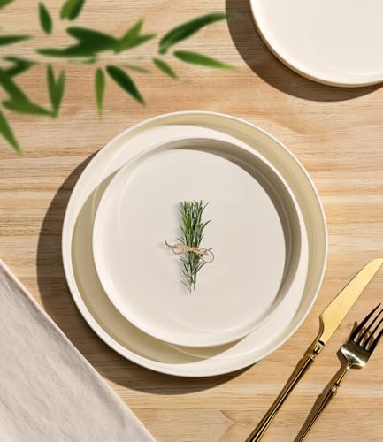 TheTerra Ceramic Dinnerware Set for 4, 12-Piece Plates and Bowls Set