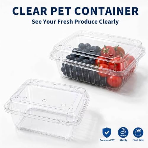 16 oz Clear Plastic Fruit Containers with Hinged Lids, Ventilated