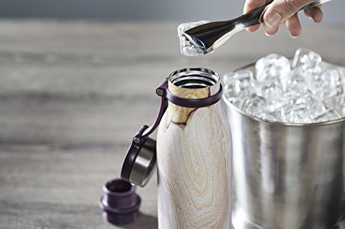 Contigo Matterhorn Vaccum Insulated Stainless Steel Water Bottle with