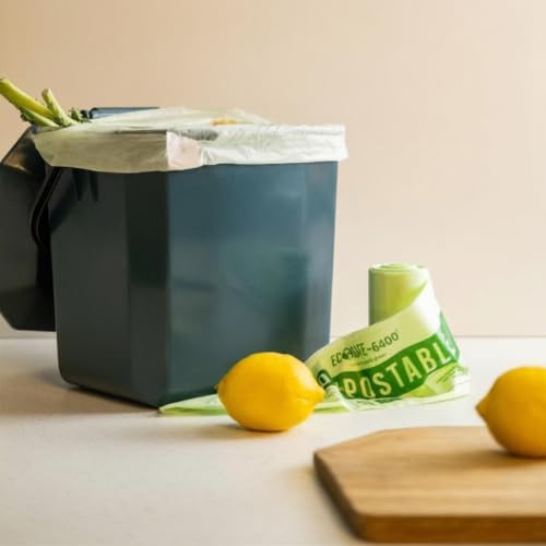 EcoSafe Kitchen Caddy Food Waste Bin, 2.5 Gallon, Green