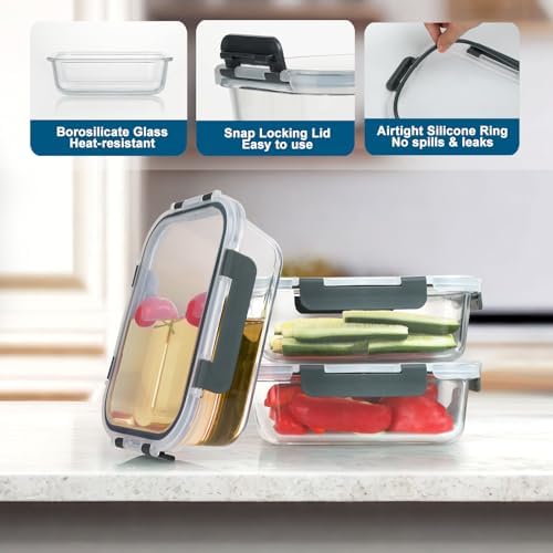 BAYZZ 10 Pack Glass Meal Prep Containers with Lids
