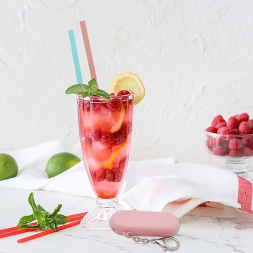 2 Sets Silicone Straws with Case, Reusable Travel Straw Cruise Ship